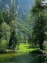 Sequoia parks meadows rivers streams trees green.jpg