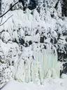 ice-waterfall-frozen-winter-561247.jpg