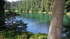 summer-resin-lake-558597.jpg