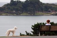 park-bench-woman-dog-person-human-413847.jpg