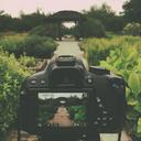 canon-rebel-t4i-dslr-garden-path-780103.jpg