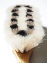 goat-hair-brush-brush-bristles-592405.jpg