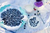 blueberries-cream-dessert-breakfast-1576409.jpg