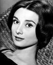 audrey-hepburn-actress-vintage-394263.jpg