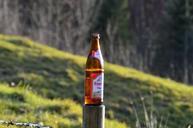 beer-beer-bottle-engelbraeu-red-571651.jpg