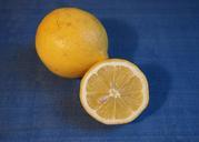 lemon-yellow-fruit-656598.jpg