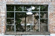 window-home-tree-abandoned-634089.jpg