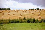 straw-bales-harvest-agriculture-859472.jpg