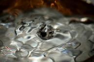 water-drop-waterdrop-macro-liquid-503331.jpg