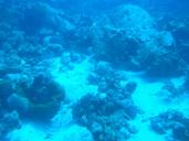 underwater-sea-ocean-water-264184.jpg