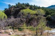 Fossil_Creek_Wild_and_Scenic_River.jpg