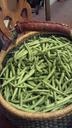 beans-harvest-basket-green-fresh-1123072.jpg