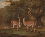 Thomas_Weaver_-_Llamas_and_a_fox_in_a_wooded_landscape_-_Google_Art_Project.jpg