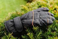 glove-hedge-winter-lost-forget-628679.jpg