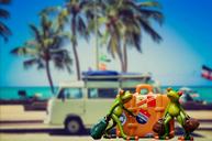 holiday-luggage-palm-trees-beach-1172356.jpg