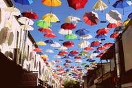 umbrella-celebration-festival-542106.jpg