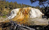 yellowstone-national-park-98103.jpg