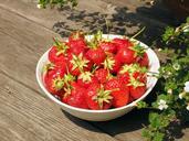 bowl-strawberries-strawberry-food-1085708.jpg