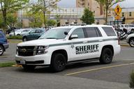 Whatcom_Sheriff:_2015_Chevrolet_Tahoe.jpg