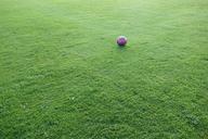 football-sports-ground-ball-472039.jpg