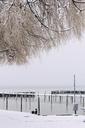 lake-snow-outlook-winter-landscape-1148796.jpg