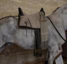 Andalusian vaquero saddle.jpg