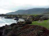 Monterey waves beach coast ocean water.jpg