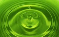 water-drop-green-water-drop-liquid-921266.jpg