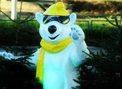 polar-bear-cool-bright-funny-cute-1088734.jpg