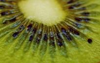 kiwi-fruit-healthy-vitamins-food-1293492.jpg