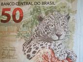 brazilian-currency-fifty-real-touch-1139100.jpg