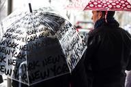 people-umbrellas-standing-waiting-246231.jpg