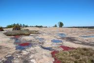 Arabia Mountain.JPG