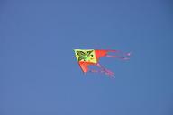 blue-flying-kite-sea-sky-nature-87863.jpg