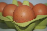 egg-delicious-hartgekocht-cooked-181198.jpg