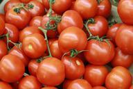 tomatoes-canary-tomatoes-vegetable-1014546.jpg