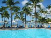 swimming-pool-palm-sea-pool-blue-633837.jpg