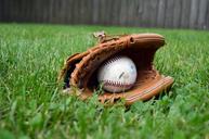 baseball-glove-ball-grass-yard-1425123.jpg