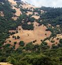 california-mountains-trees-scenic-221626.jpg