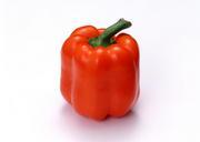 fresh-red-sweet-pepper-vegetables.jpg