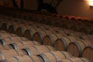 storage-barrels-red-wine-bordeaux-371773.jpg