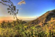 dusk-mountain-plants-landscape-sky-293754.jpg