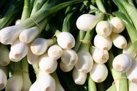 onion-bunch-green-white-vegetables-605416.jpg