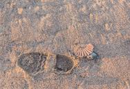 footprints-path-walker-beach-sand-1255047.jpg