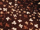 flower-white-brown-patterns-315395.jpg