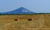 straw-cubes-harvested-wheat-field-875034.jpg