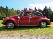 vw-beetle-bridal-car-auto-oldtimer-693638.jpg