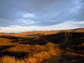 dunes-sand-dunes-dune-landscape-449565.jpg