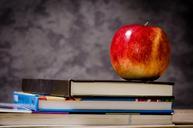 apple-education-school-knowledge-256264.jpg