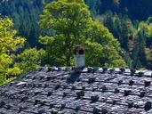 roof-shingle-roof-stone-complain-63245.jpg